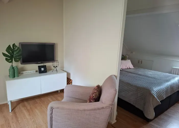 Sleep At Hamtingh's Aan De Vrijthof Bed & Breakfast Hilvarenbeek