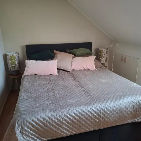 Sleep At Hamtingh's Aan De Vrijthof 住宿加早餐酒店 3*