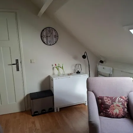 Sleep At Hamtingh's Aan De Vrijthof 住宿加早餐酒店 3*